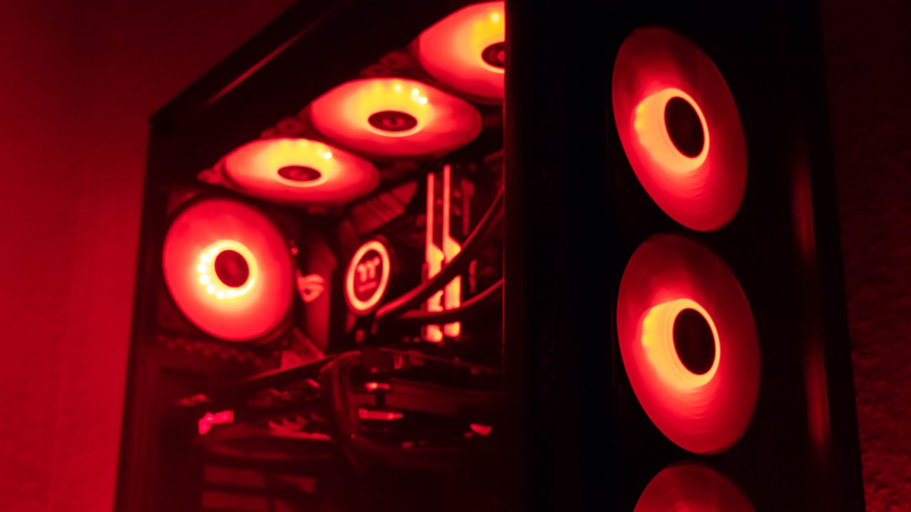 Everything You Need to Know About Eyelash Fans