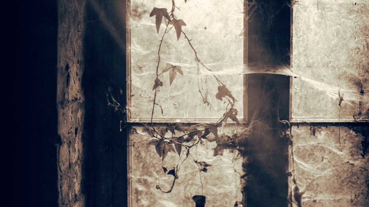 How Much Does It Cost to Repair a Window Regulator