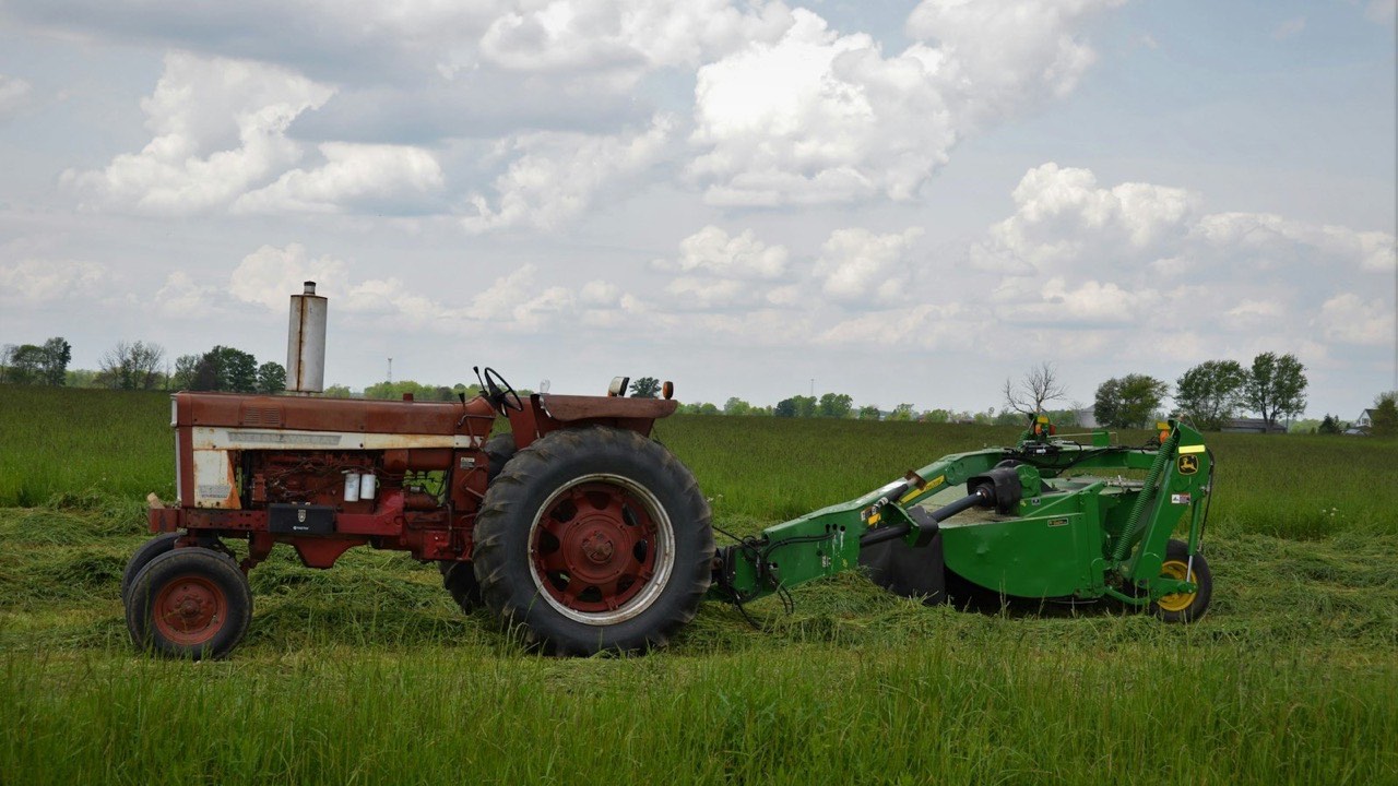 What a Flail Mower Is Actually For — and Why Crews Pick It Over a Brush Hog